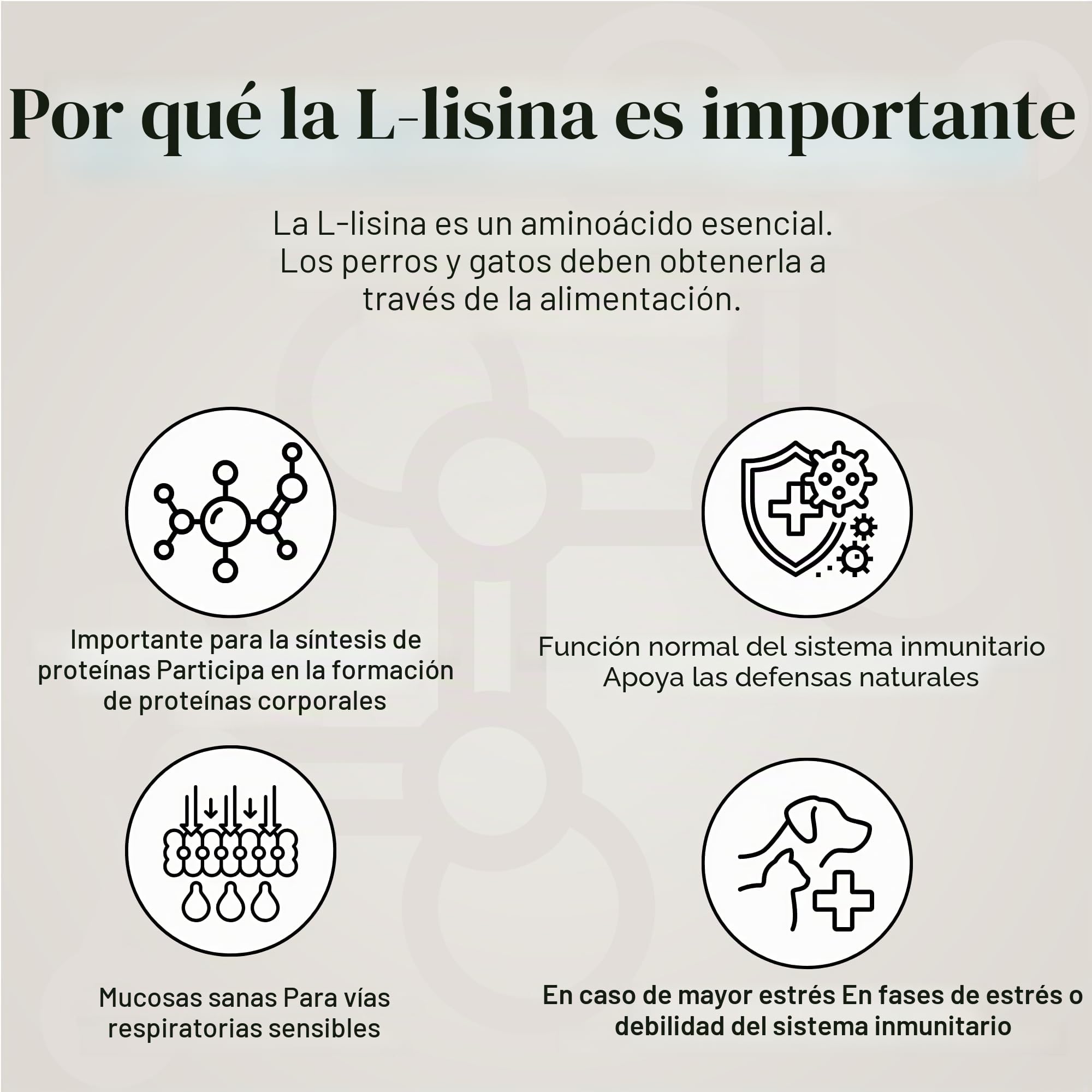 L-lisina para gatos y perros – Cápsulas de L-lisina en dosis altas 670 mg para apoyar el sistema inmunológico – Aminoácido Complemento alimenticio – 100 Cápsulas
