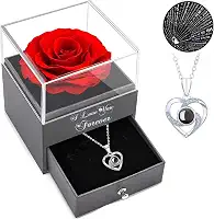 Presentes para mulheres meias de Natal – Colar rosa vermelha com I Love You, presentes de rosas eternas para mulheres, mãe, esposa e namorada no Dia dos Namorados, Dia das Mães, Natal, aniversário,