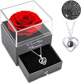 Presentes para mulheres meias de Natal – Colar rosa vermelha com I Love You, presentes de rosas eternas para mulheres, mãe, esposa e namorada no Dia dos Namorados, Dia das Mães, Natal, aniversário,