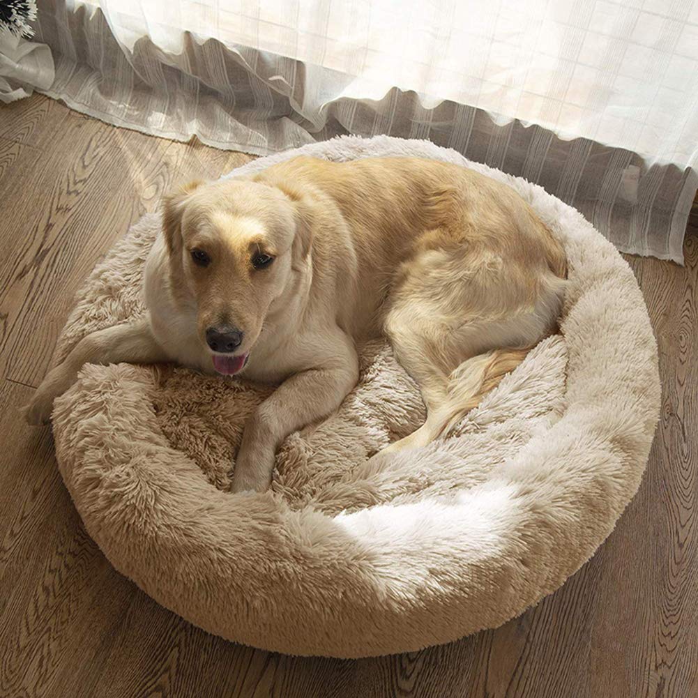 Groot hondenbed, 2-in-1, warm hondenhuis, bed voor binnen kat, XL, XXL