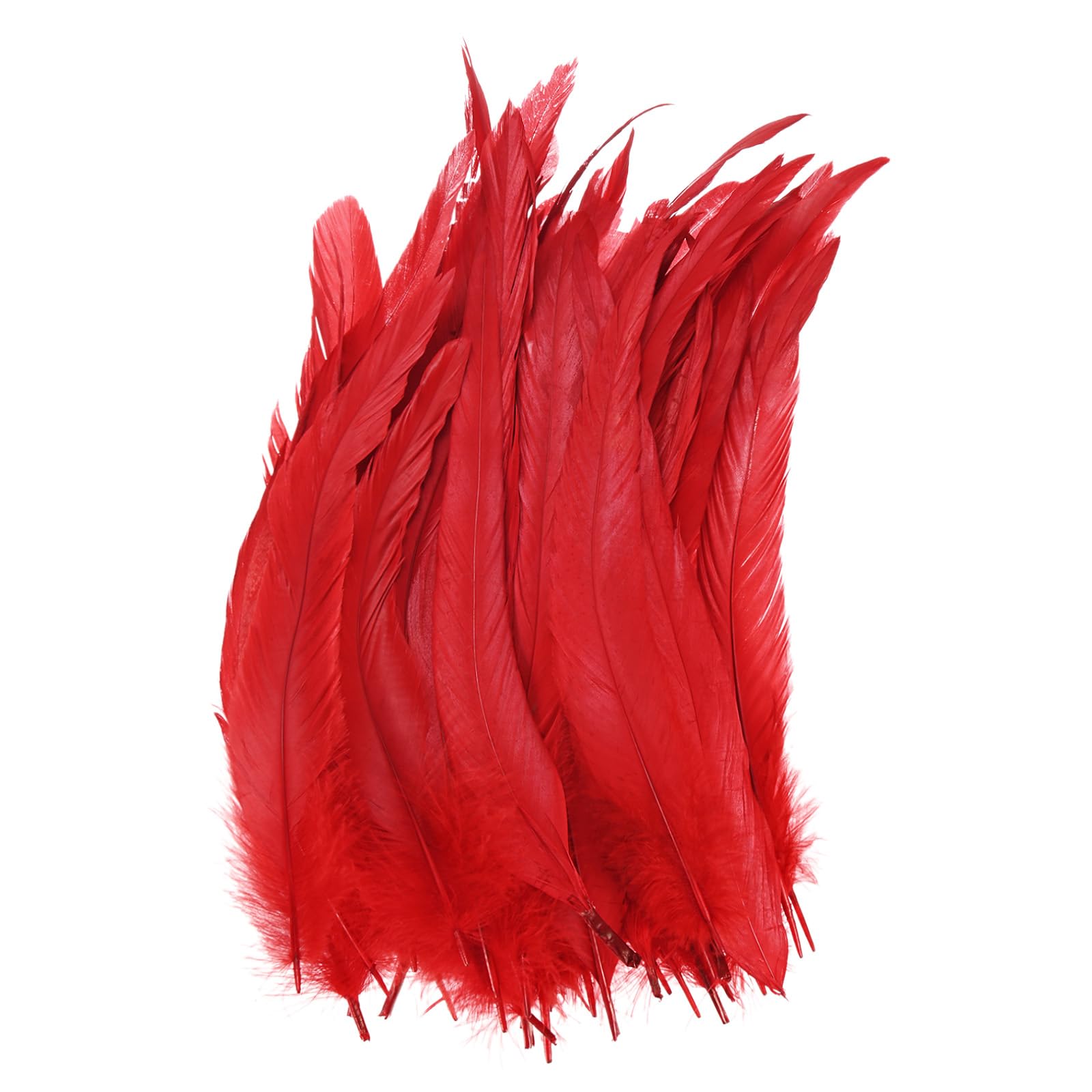 M METERXITY 50 Plumas Naturales De Cola De Gallo, 10-12 Pulgadas / 25-30cm De Largo Para Manualidades/Bodas/Atrapasueños/Decoraciones DIY [Rojo]