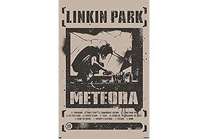 Add a Touch of Edge to Your Space: Lorde South Park Poster