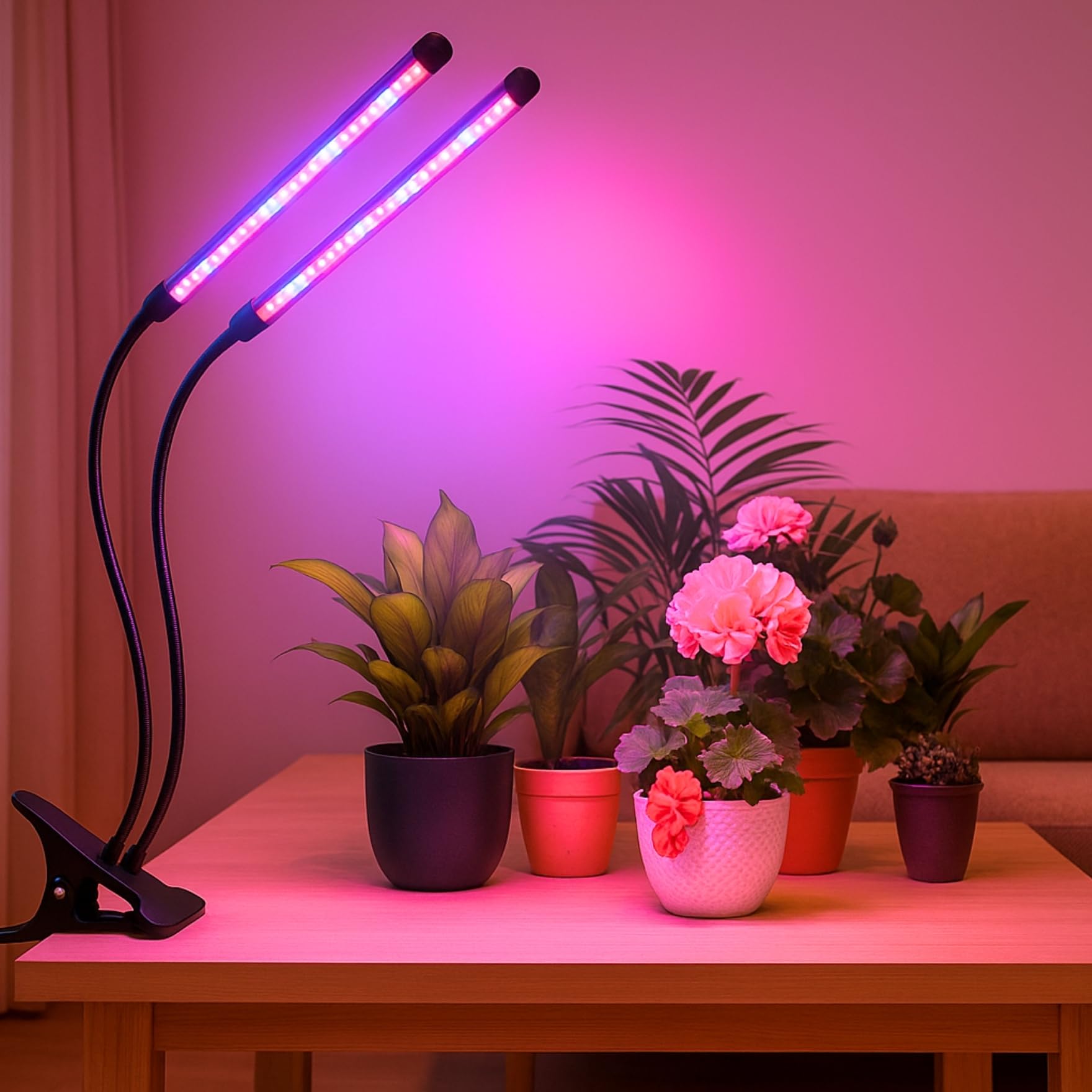 ecofynd Grow Light for Indoor Plants, 10 Dimmable Brightness, 3/9/12 Hrs Auto On/Off Automatic Timer, 2 Head LED Grow Lights for Plants,1.3M Wire, Artificial Sunlight for Plants (Black, GROWLIGHT003)-picture-29