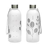 bzyoo 32oz 1 Liter Clear Water Bottle with Time Marker, Leaf Design, Durable Plastic, BPA-Free, Reusable with Measurement Markings for Fitness and Outdoor Activities (Color: Silver)