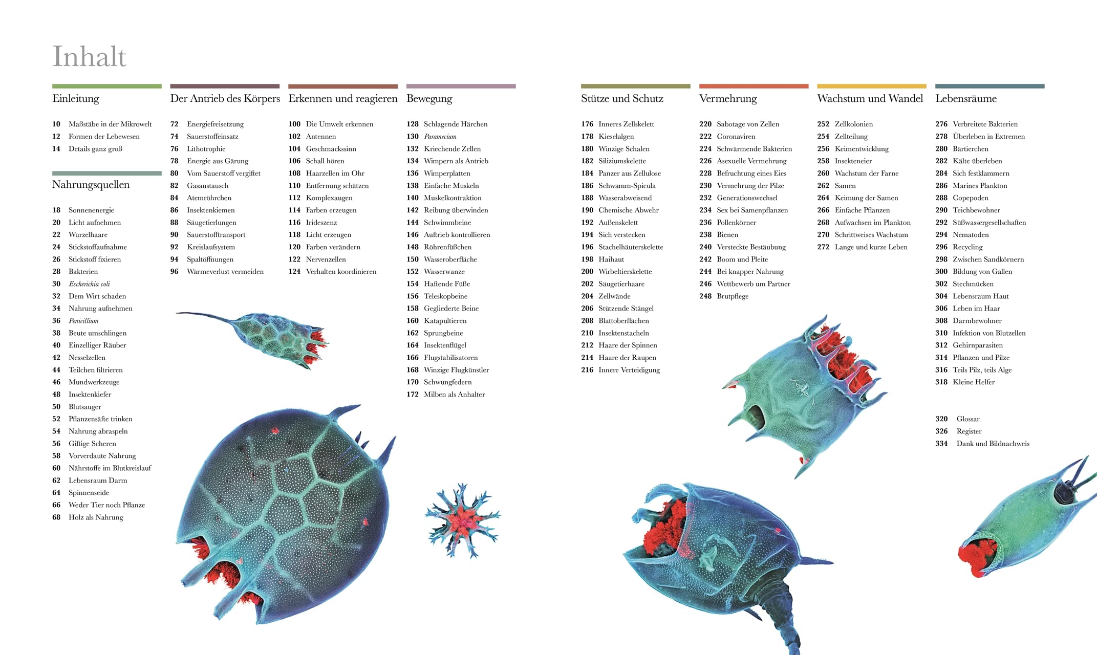 Mikrokosmos - Wunderwelt der kleinsten Lebewesen: Mikroskopbilder und atemberaubende Makrofotografien illustrieren die unsichtbare Welt unseres Mikrokosmos (DK Wunderwelten)