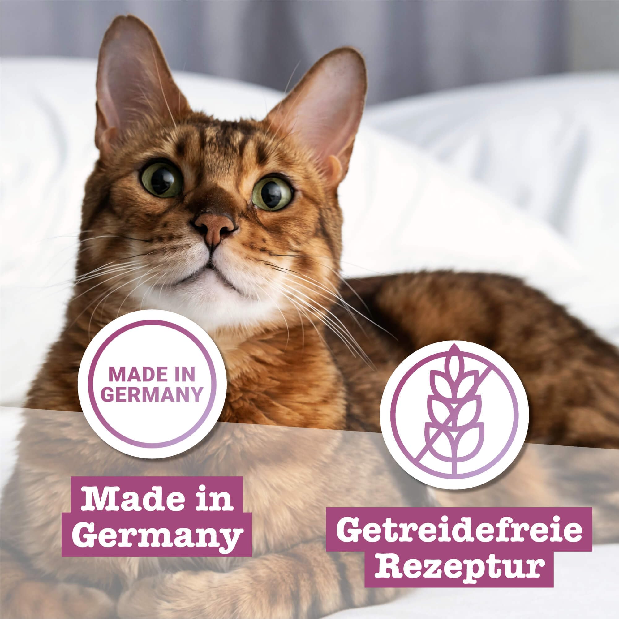 catz finefood Classic Collection mokra karma dla kotów XXL - Gourmet mokra karma dla Twojego kota bez cukru i zbóż, bezglutenowa – z dużą zawartością mięsa, Made in Germany (12 x 400 g puszek)