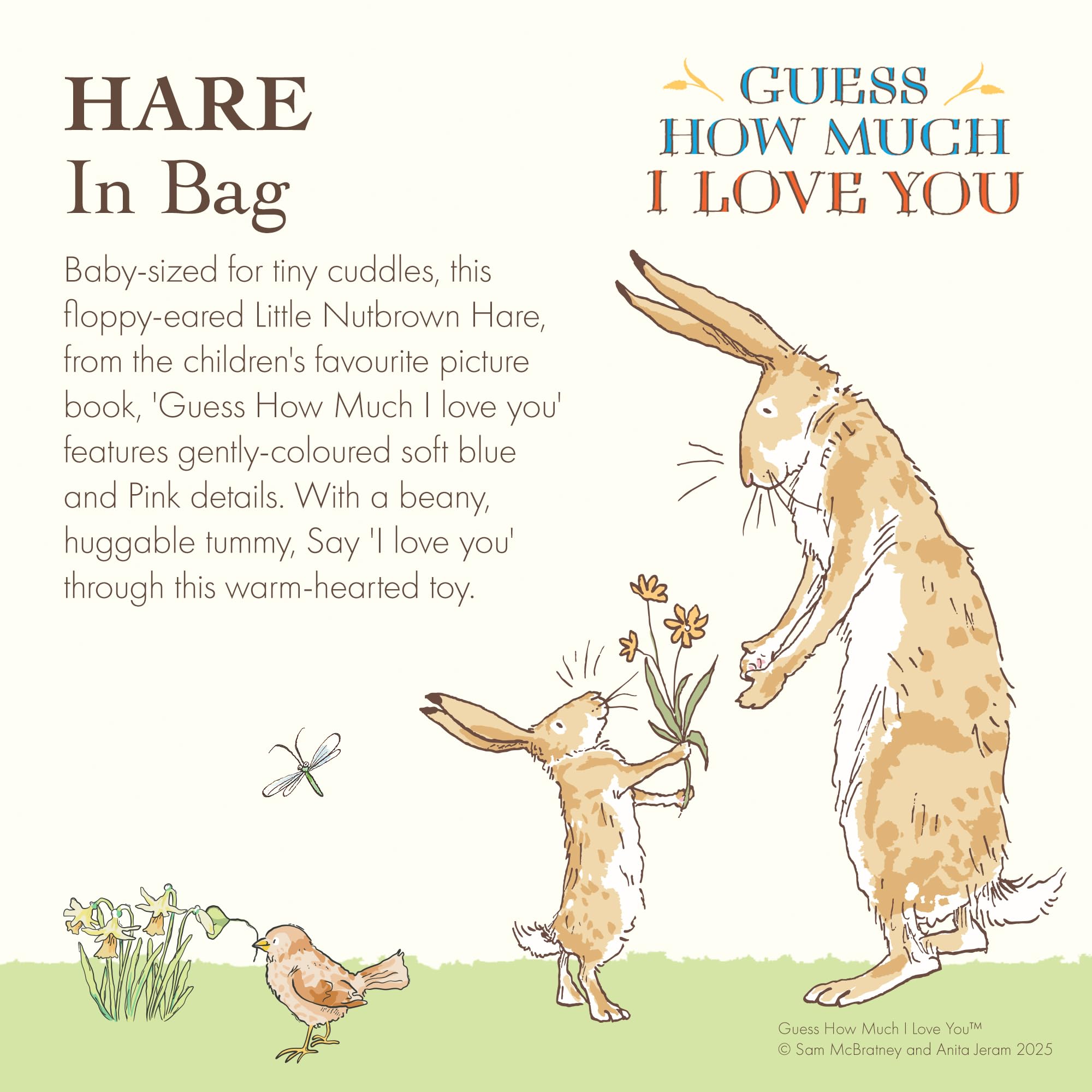 Rainbow Designs Guess How Much I Love You Hare, Soft Baby Teddy with Floppy Ears & Beany Tummy - Image 2