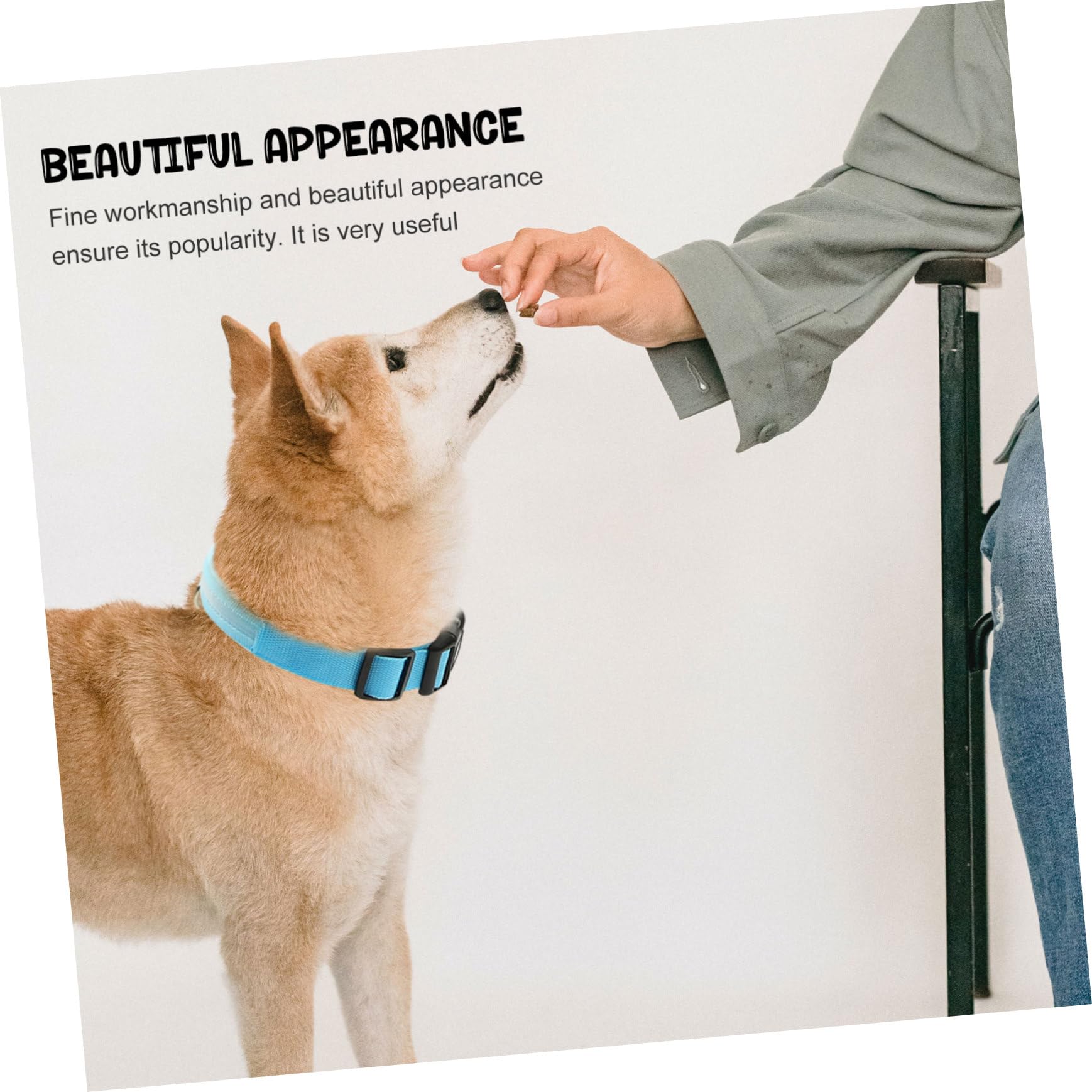 Sosoport 4sätze Stylisches Leuchthalsband Für Hunde Verstellbares Wiederaufladbares Hundehalsband Für Nächtliche Sicheres Halsband Für Kleine Und Mittelgroße Haustiere Aus