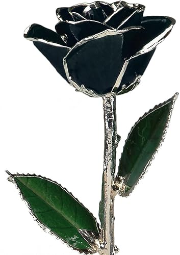 Rosa real bañada en platino negro de 11"