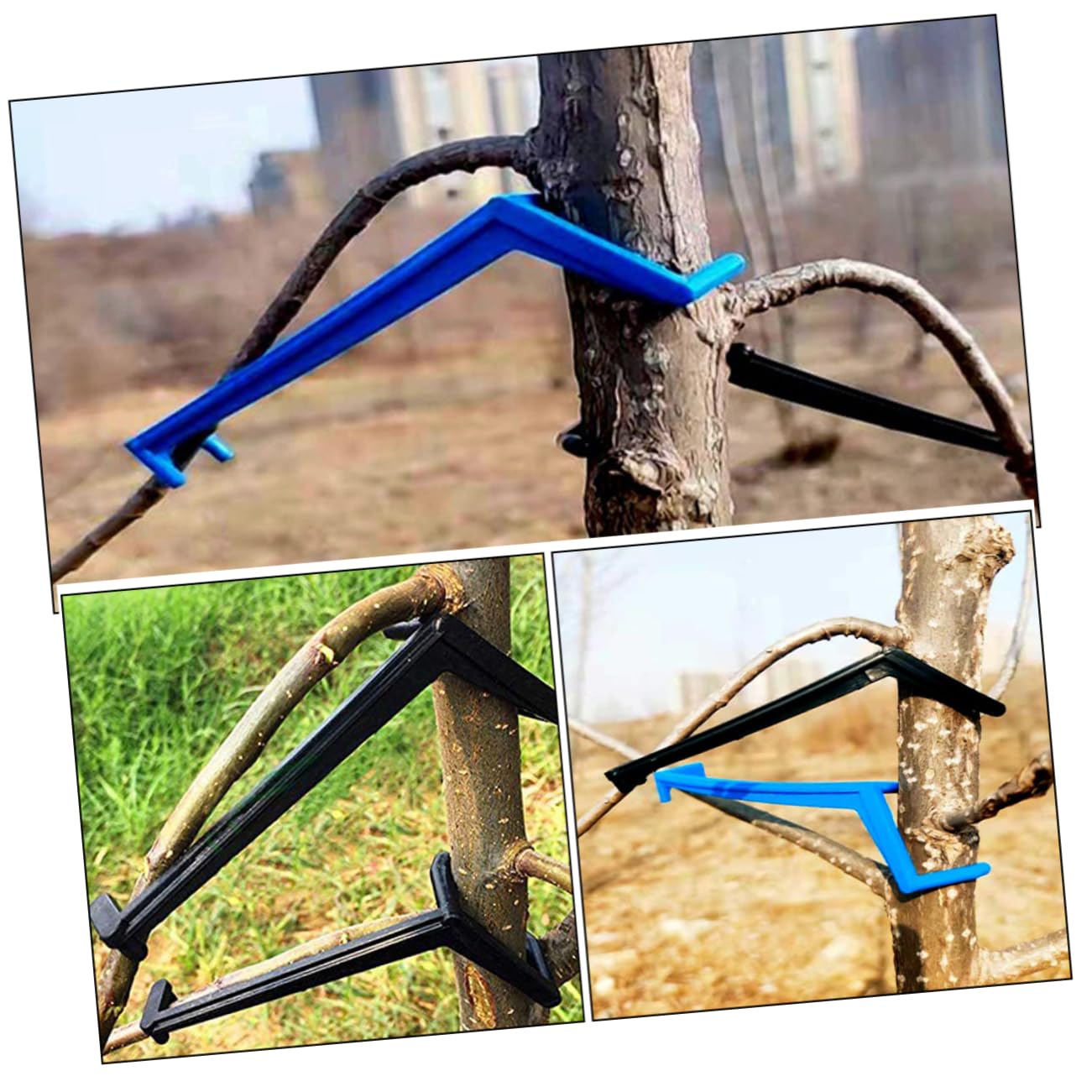 Sosoport 3 Set di Spargirami Regolabili per Alberi da Frutto Spargirami in Plastica Riutilizzabili Strumento di Potatura E Raccolta Accessorio da Giardino Adatto per Hobbisti 50 Pezzi * 3