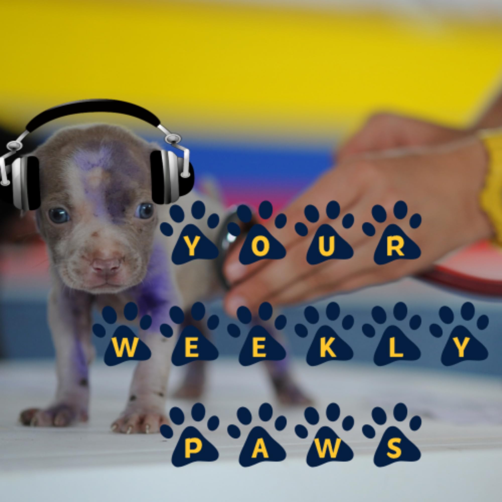 Your Weekly Paws