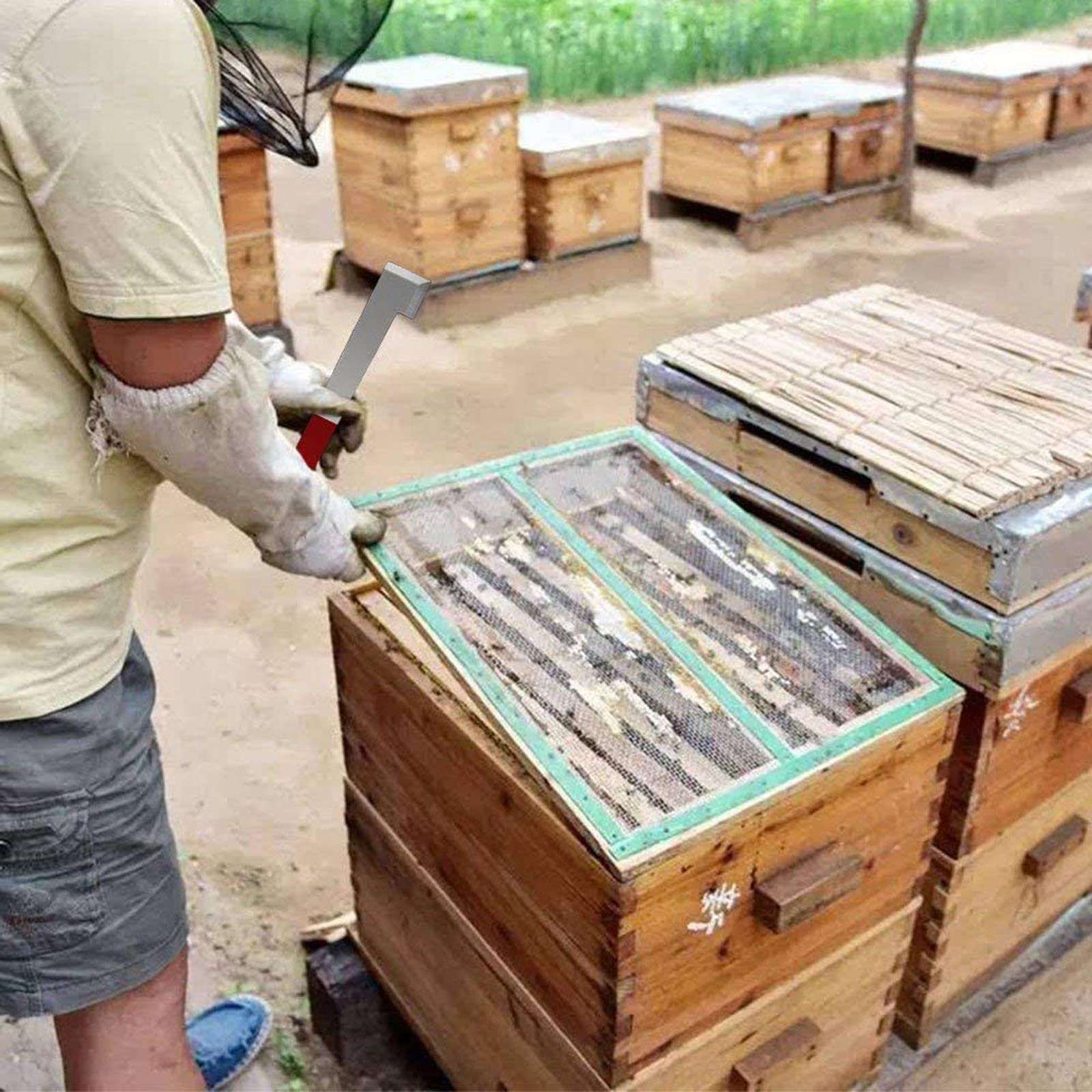 Outils d'apiculture Grattoir à Fourchette Outil de Ruche Solide et Pratique pour la Collecte du Miel Convient aux Apiculteurs de Miel à Double Tête (Manche en Acier