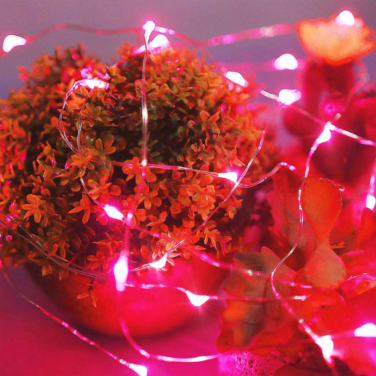 Ariceleo Led Fairy Lights Battery Operated, 1 Pack Mini Battery Powered Copper Wire Starry Fairy Lights for Bedroom, Christmas, Parties, Wedding, Centerpiece, Decoration (5m/16ft Multi-Colored): 2 Pack Red