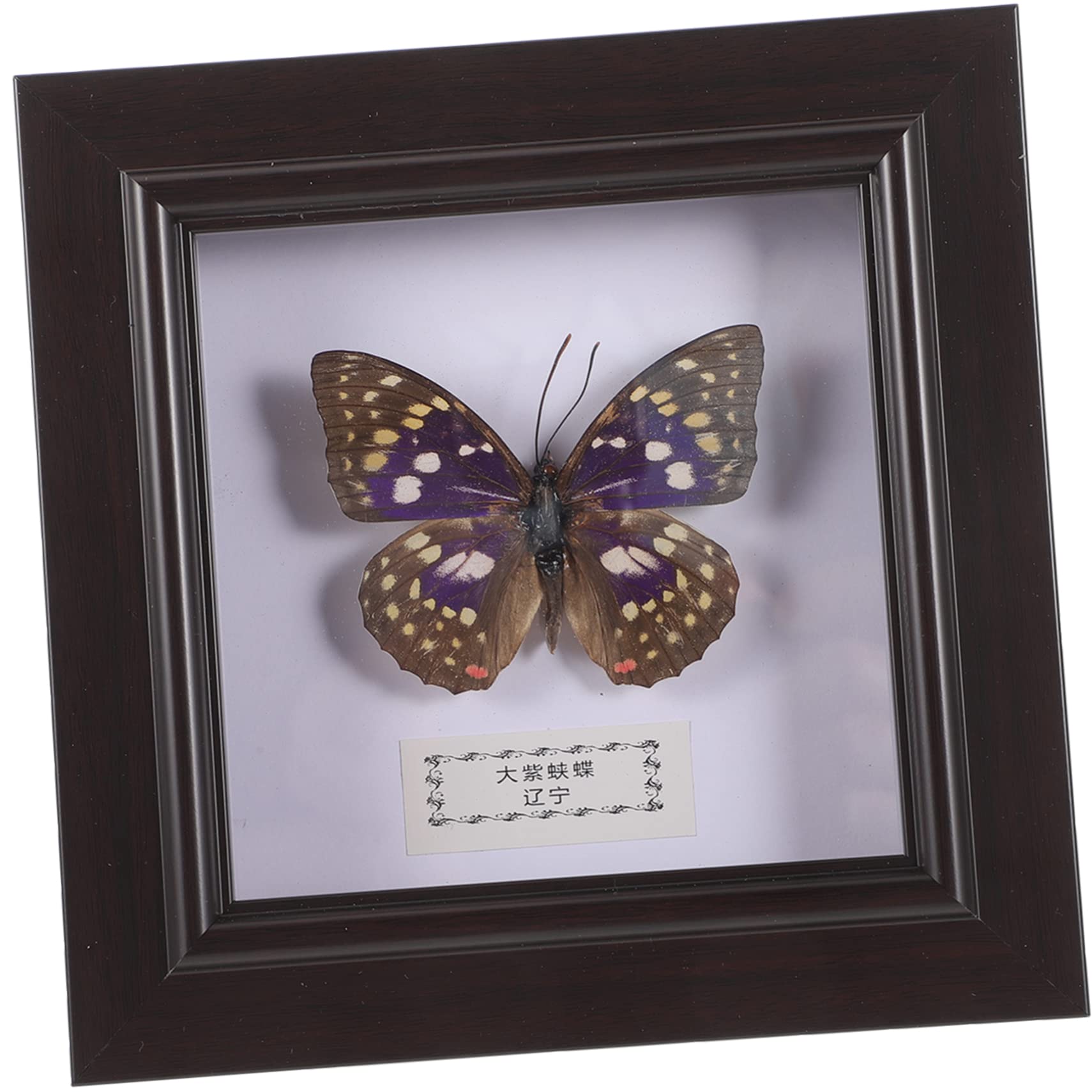 BUGUUYO Hanging Scroll Wall Art Butterfly Wall Hanging Vintage Butterfly Photo Display Frame Home Decor