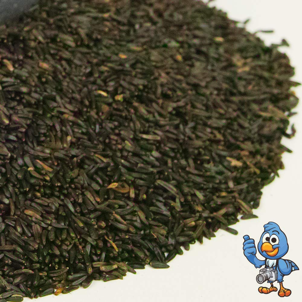 Semillas de Níger BusyBeaks - Alimento de Alta energía y Calidad para Aves Silvestres de jardín y pinzones (15kg)