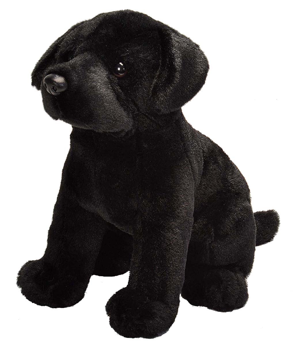 Animal Cuddling Toy (12 Inches, Multicolor)