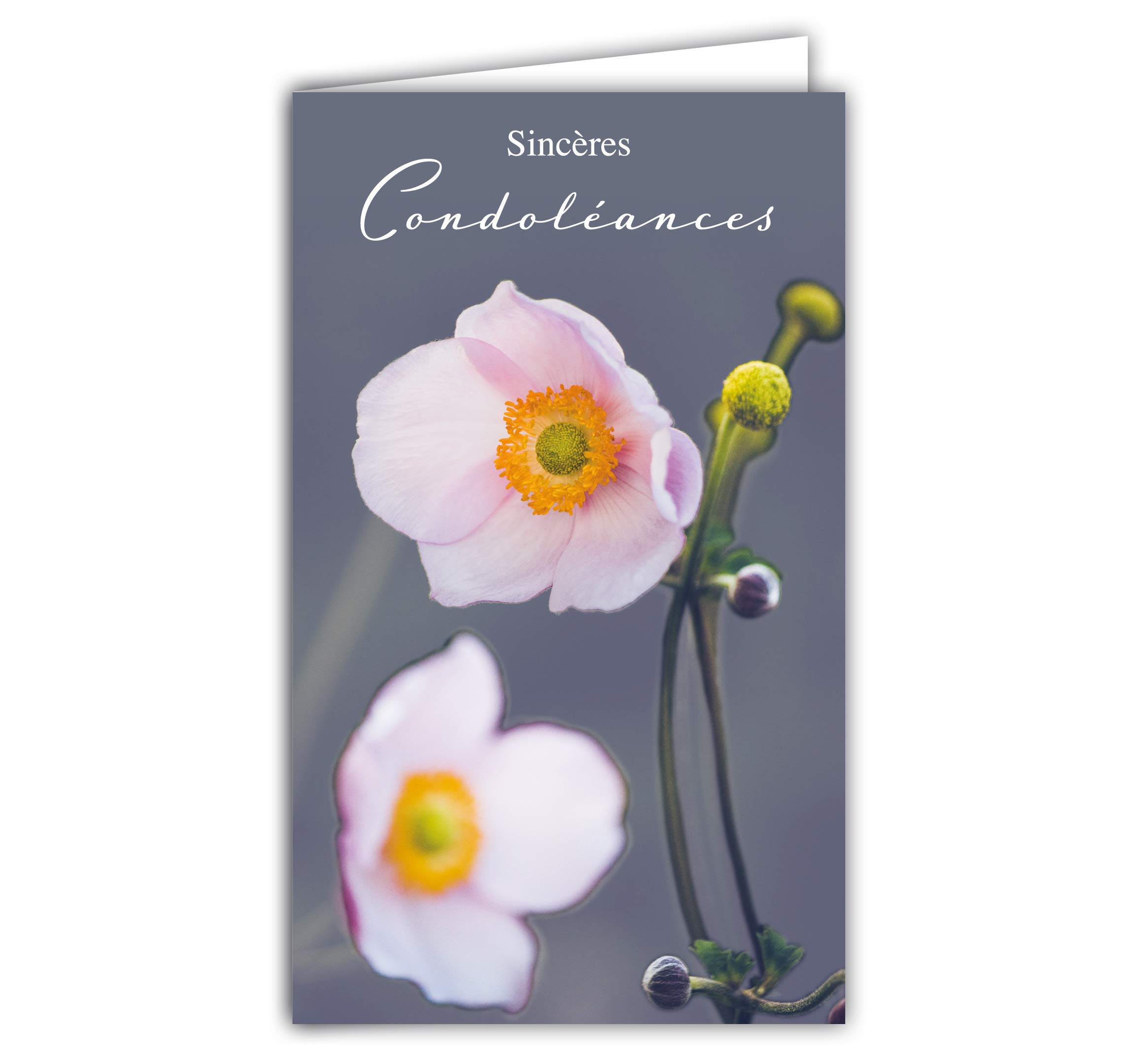 Afie 24-1034 Sincères Condolances Card Closed Format 95 x 160 mm with White Envelope – Pink Flowers