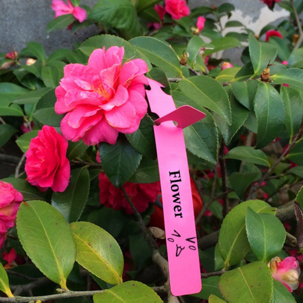 Amazon.co.jp: amzmonnsuta 100個入り 2x20cm 植物 ラベル 防水 PVC製