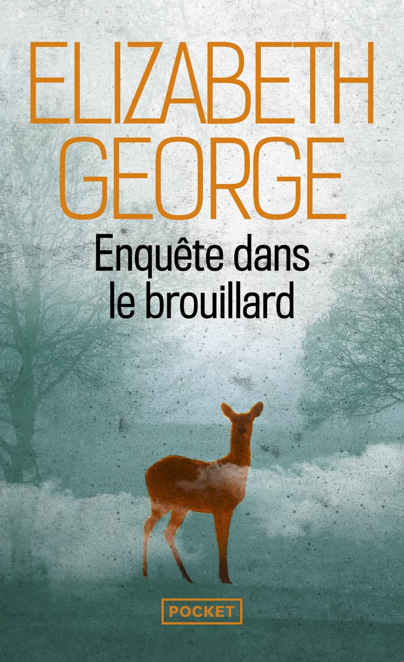 Enquête dans le brouillard (Policier)