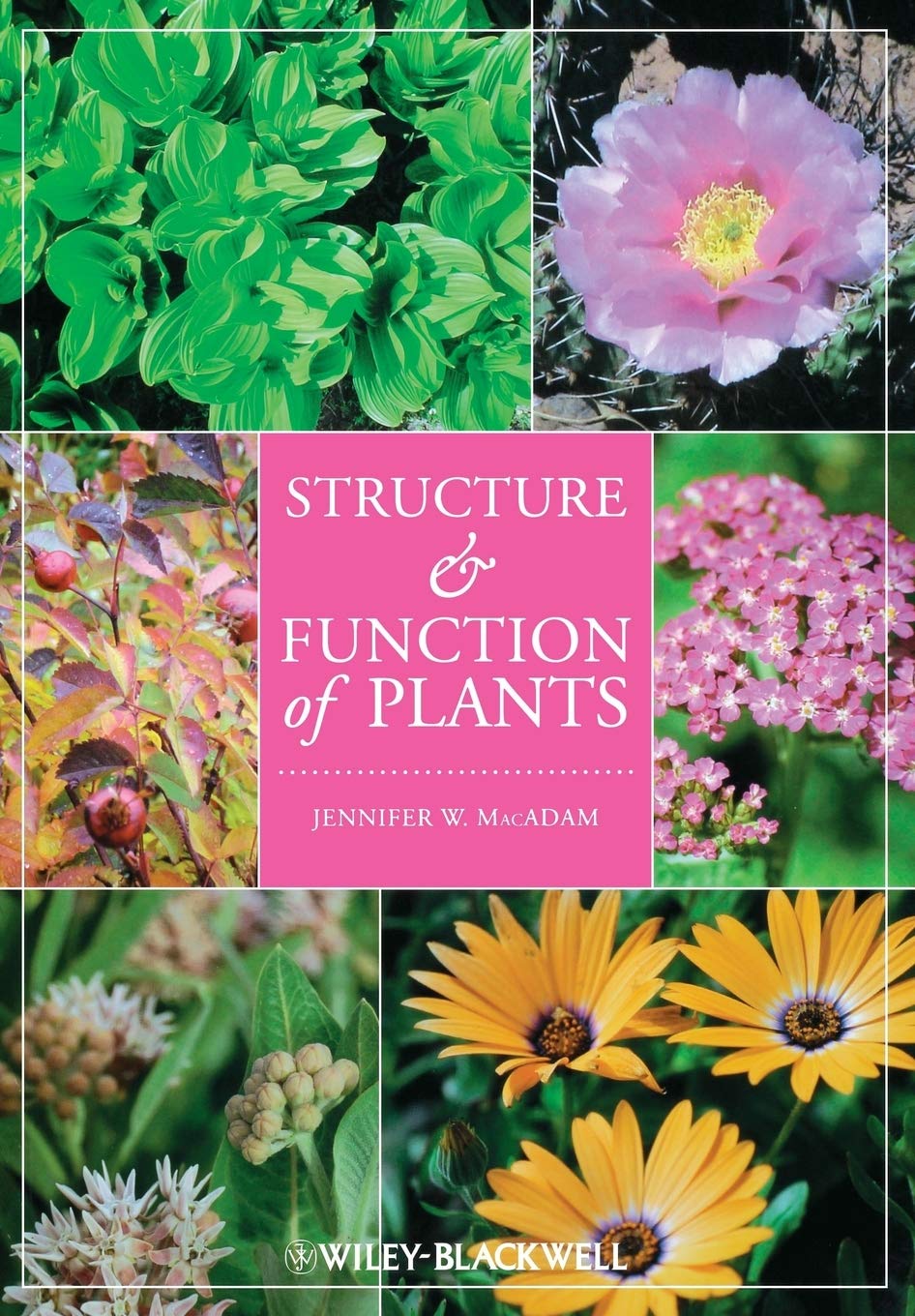 Structure and Function of Plants 1st Edition