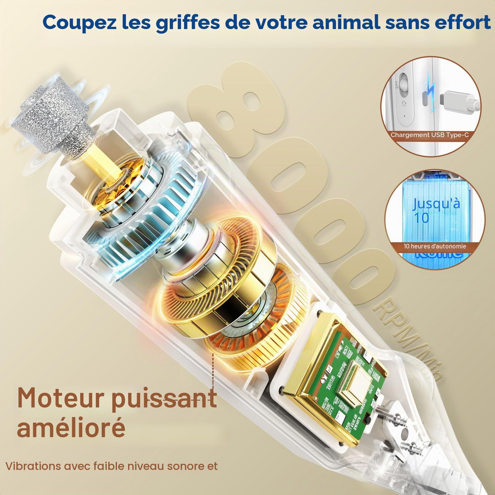 Coupe-griffes 2 en 1 pour chien et chat avec lumière, coupe-griffes et broyeur de type C