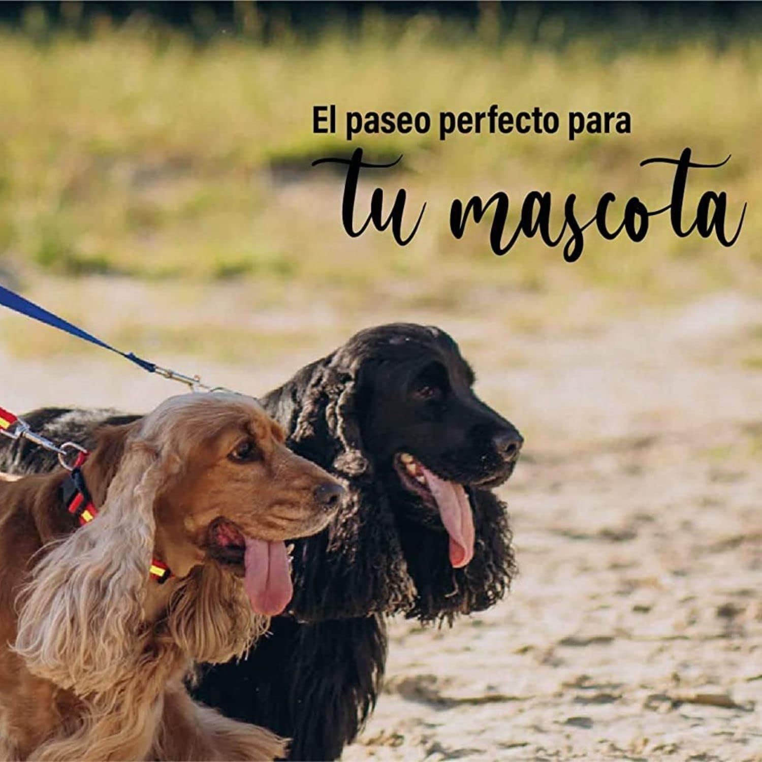 Consentida Harness for Large Dogs T4-42 - 70 x 2.5 cm - Made of Nylon - Mosaic Design - Size XL - Very Resistant and Comfortable - Accessories for Dogs 6