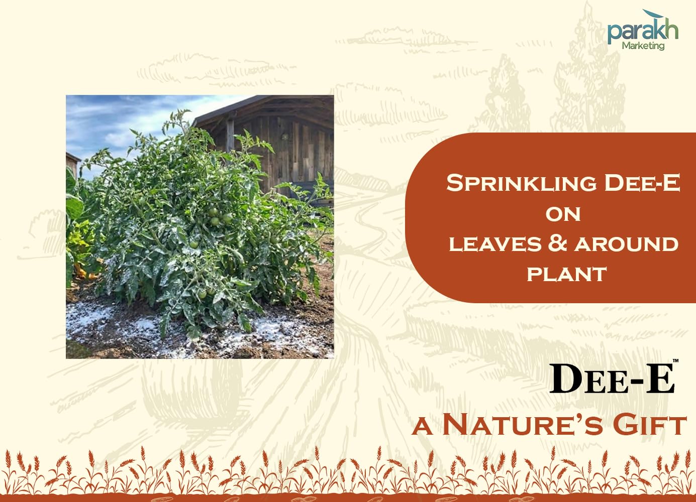 Diatomaceous Earth Powder - Pest Control & Cleaning -6