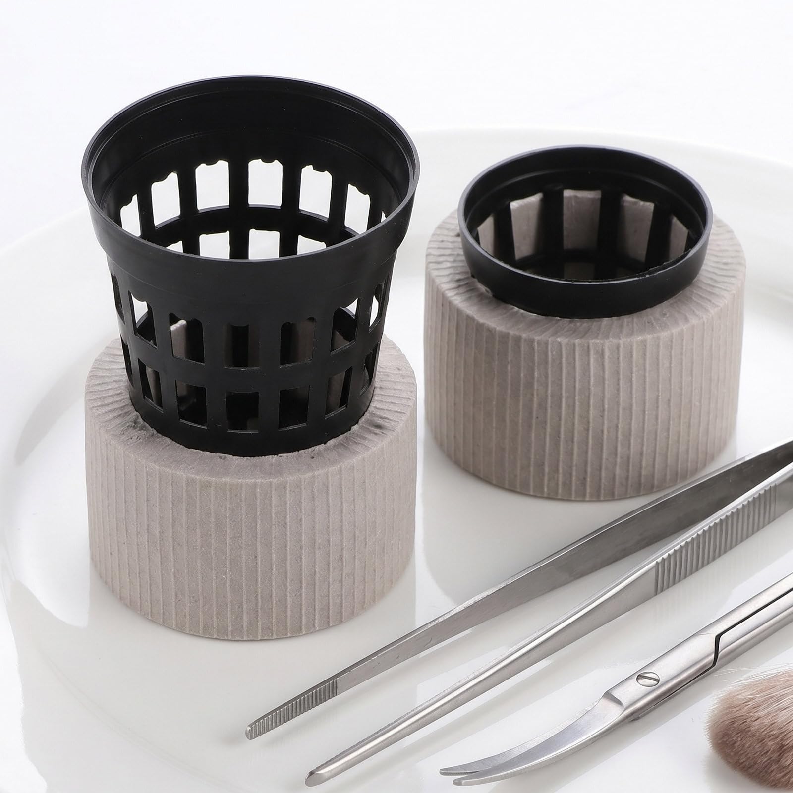 TEHAUX Anello di Fissaggio Supporto Stabile per Piante per Piante Acquatiche in Ceramica Struttura ad Anello e Materiale Plastico per Paesaggi Acquatici e Allestimenti Idroponici