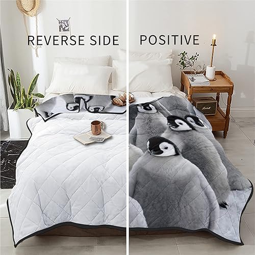 Miniatura 6 de Down Alternative Reversible Comforter Cotton Fill Quilted Throw Blanket Happy Roaming Ice Field,Lightweight Ultra Soft Bedding Set All Season Duvet
