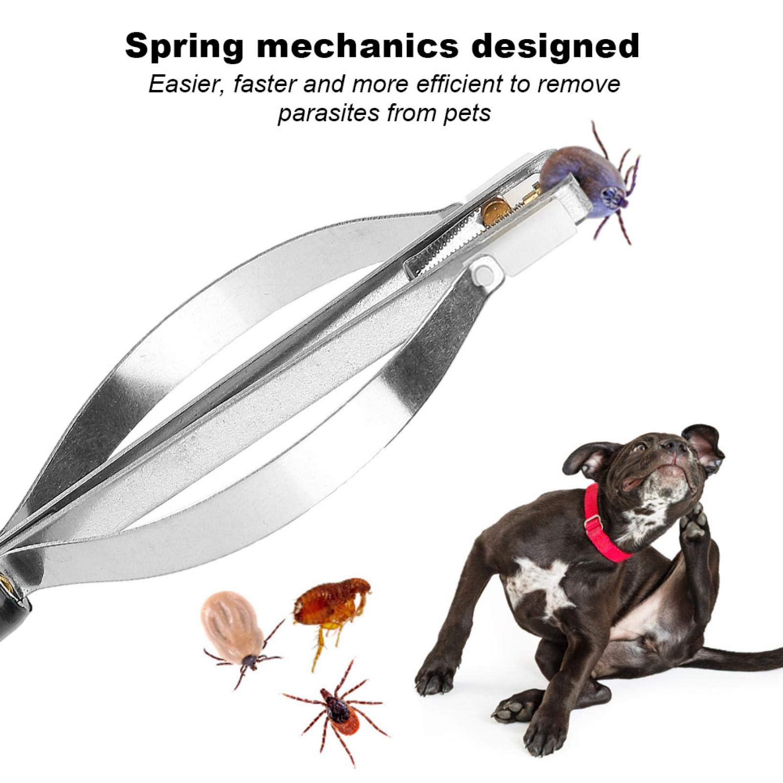 Cikonielf 2PCS Stainless Steel Pet Flea and Tick Removal Tool for Dogs and Cats - Flea Remover Tweezers Lice Picker Tool - Image 4