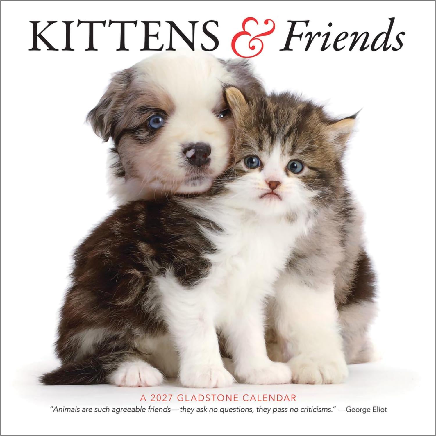 Gladstone Media, Kittens & Friends 2027 Square Wall Calendar – 16-Month Calendar, Adorable Kitten & Pet Photography, Monthly Planner, Large Date Grid, 12″ × 12″, Gift