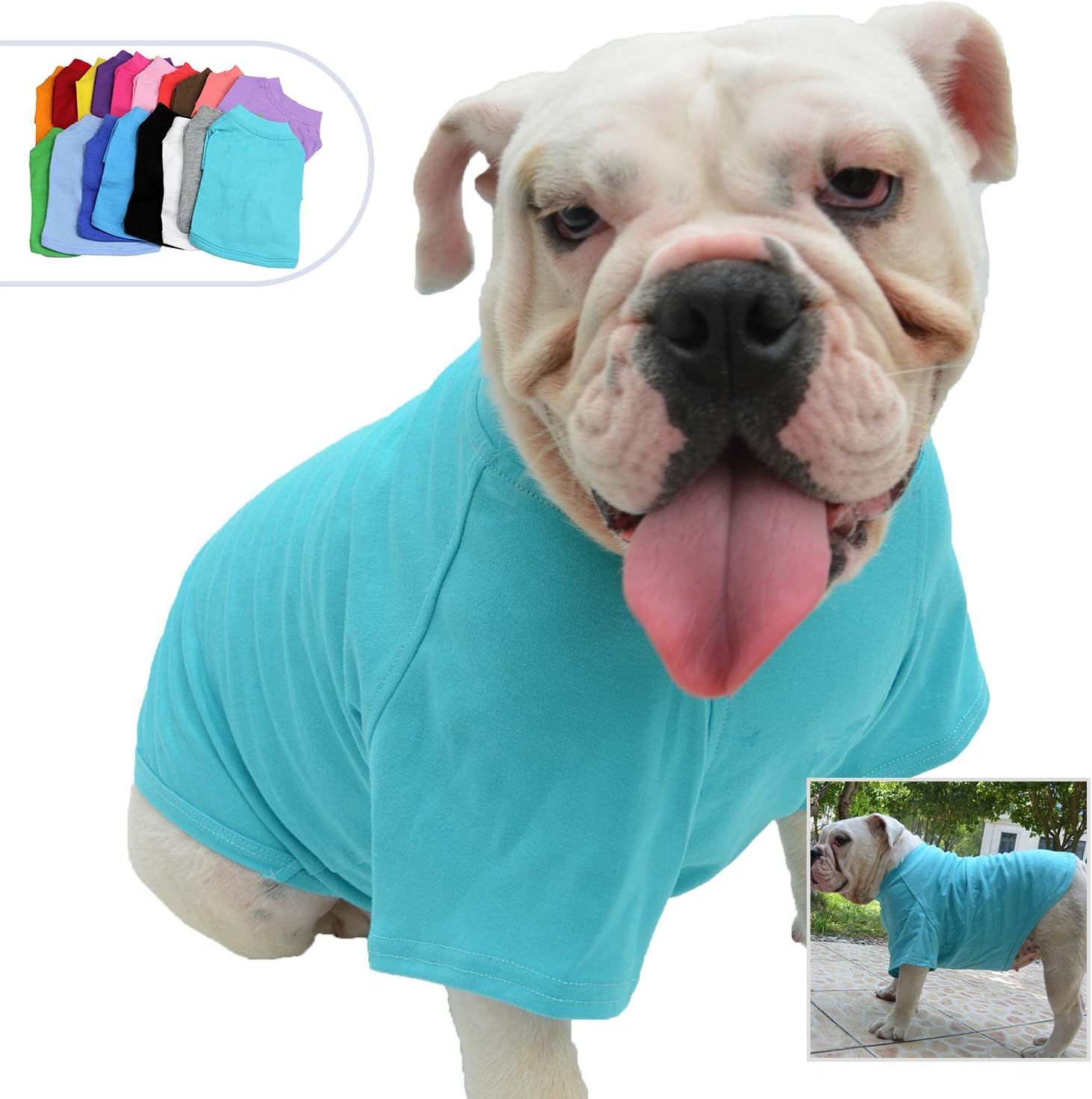 Lovelonglong Bulldog Clothes Dog Clothing Blank T-Shirt Tee Shirts for French Bulldog English Bulldog American Pit Bull Pugs 100% Cotton Skin Care Turquoise B-L BigaMart Lovelonglong Bulldog Clothes Dog Clothing Blank T-Shirt Tee Shirts for French Bulldog English Bulldog American Pit Bull Pugs 100% Cotton Skin Care Turquoise B-L BigaMart