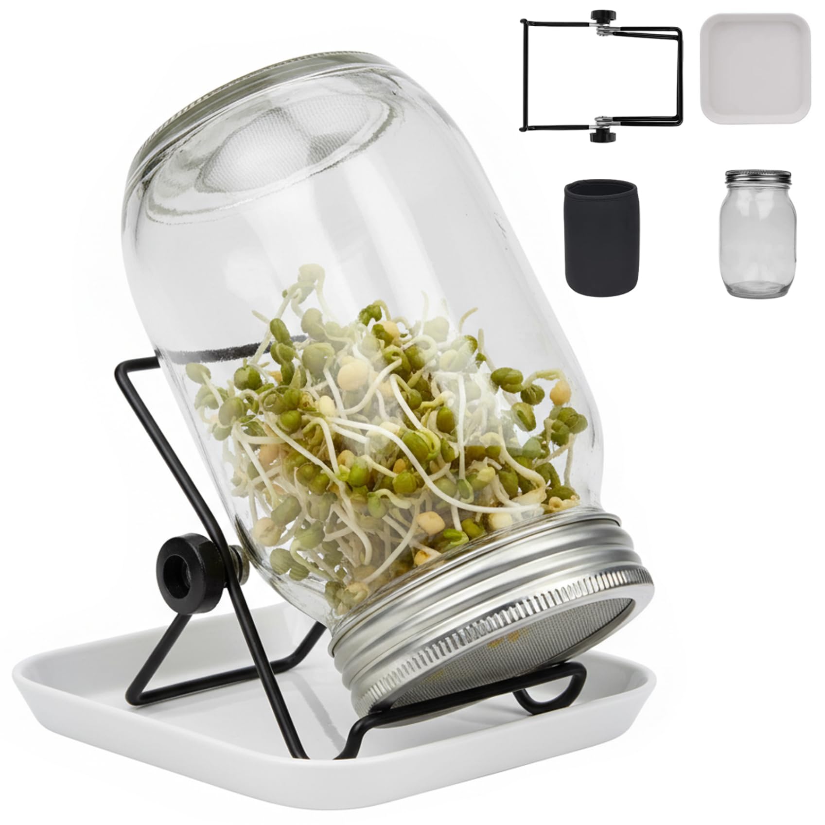 Kit de pots de germination de brocoli et haricots pour une cuisine saine au quotidien