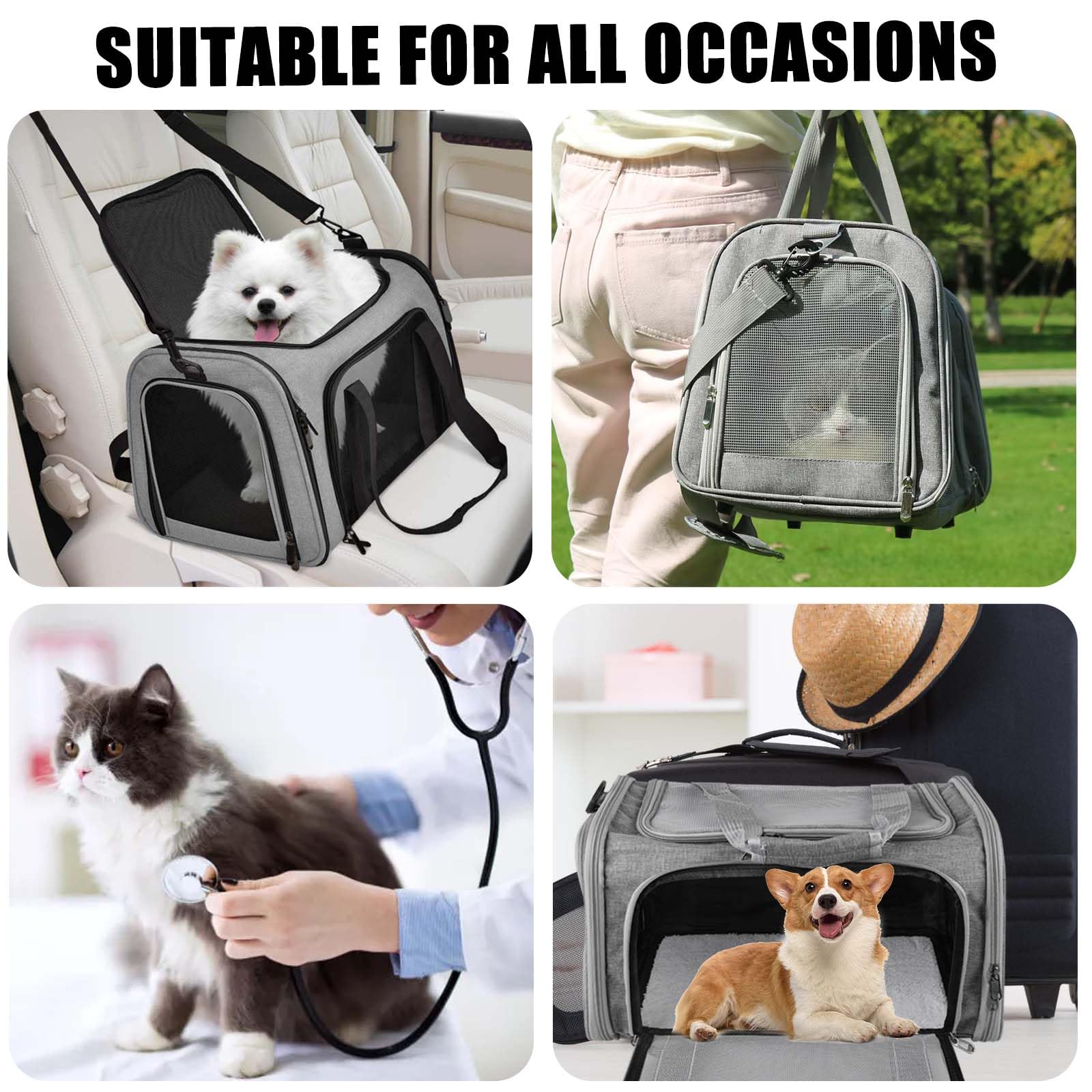 40*25*25cm Katzentransporttasche Haustiertasche kleine, 3kg Faltbare Transportbox Katze mit Schulterriemen Transportbox Katze Katzentransportbox Hunde Katzen Transportboxen für kleine Katzen Hunde-S