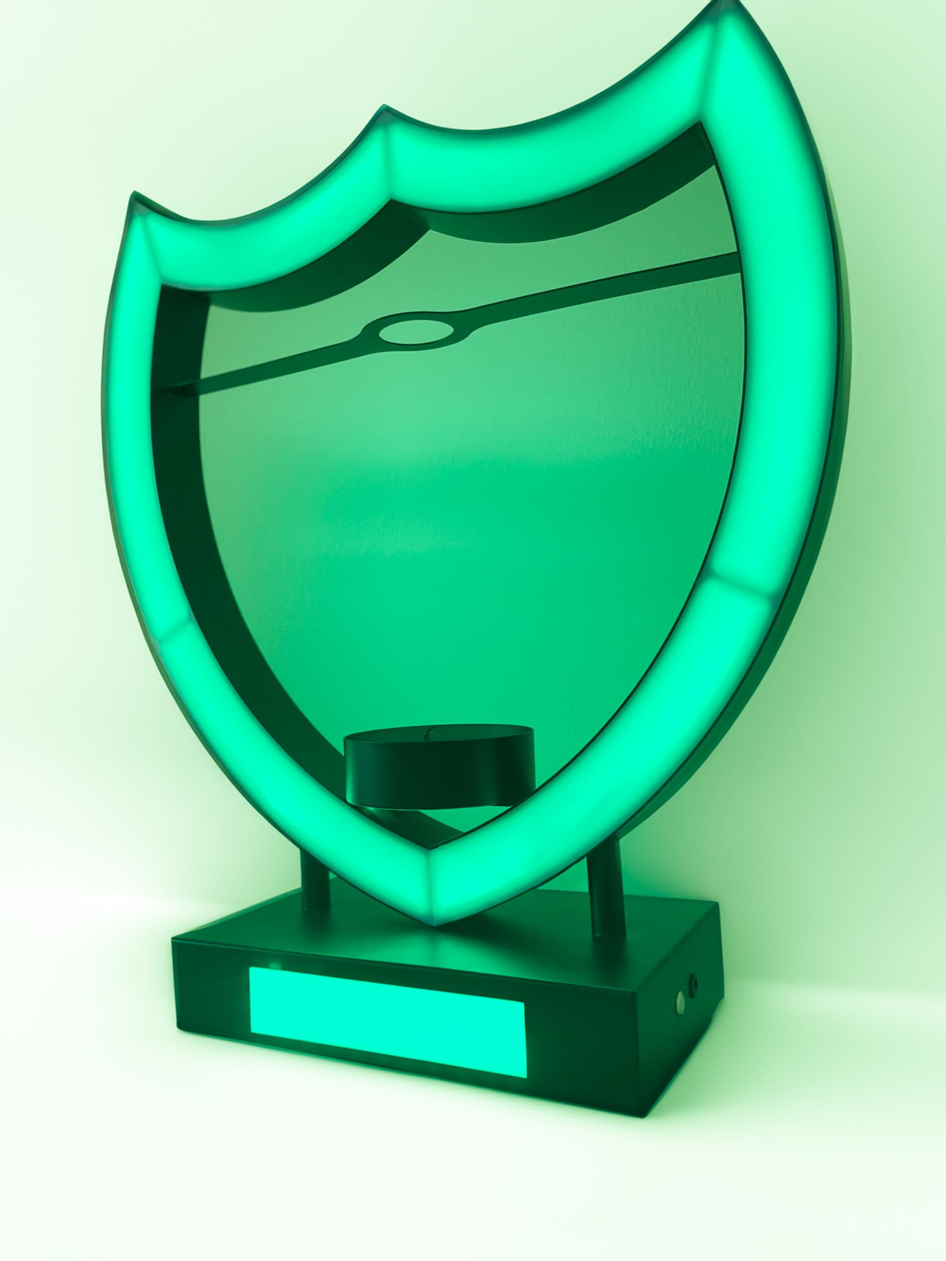 Jay Supply Nightclub LED Bottle Presenter Shield for Bar/Club/Party