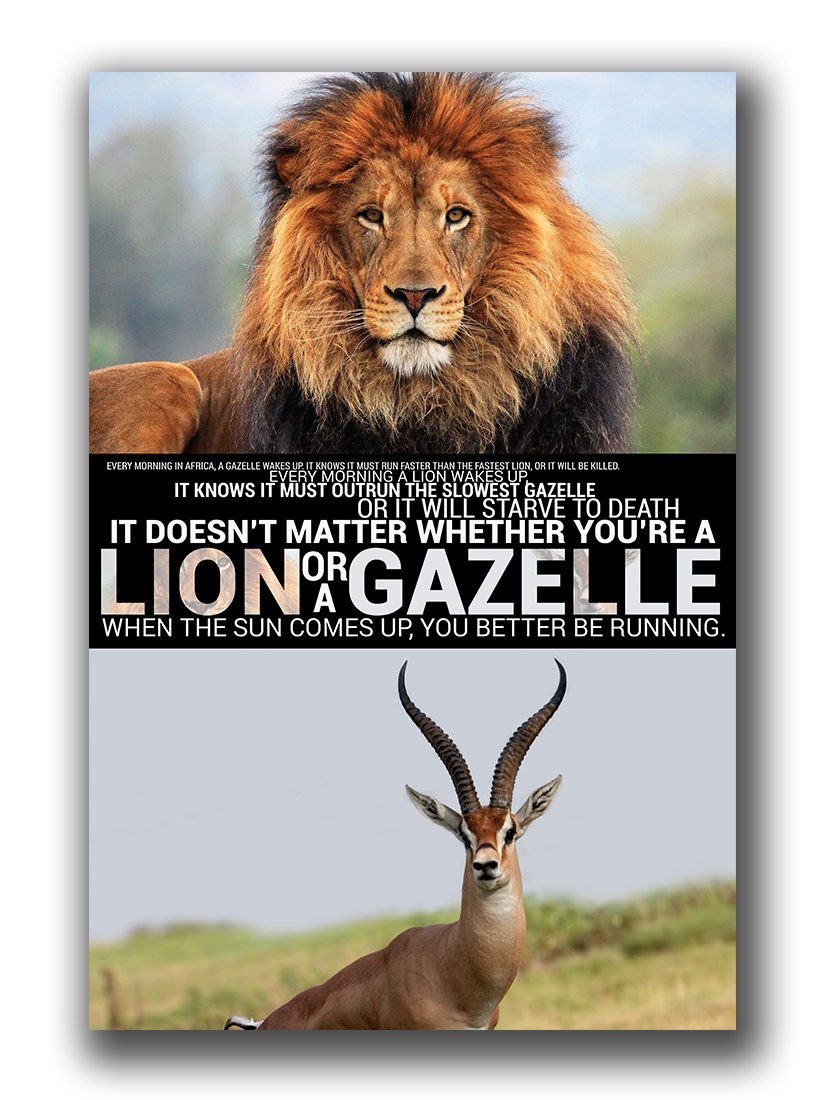 When The Sun Comes Up, You Better Be Running - Motivational Poster