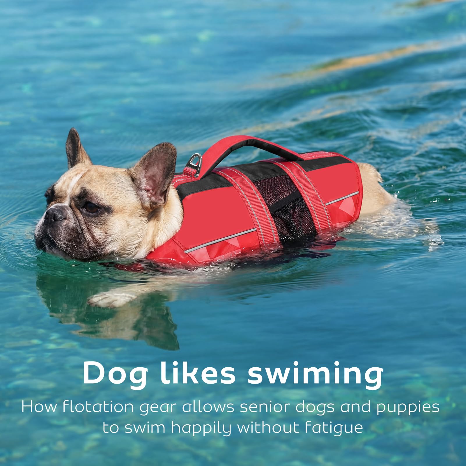 CITÉTOILE Schwimmweste Hund, Hunde Schwimmweste mit Griff und Reflektierend, Rettungsweste für Kleine Mittlere und Große Hunde mit Guter Auftrieb, Leicht und Sicher für Wassersport Rot M
