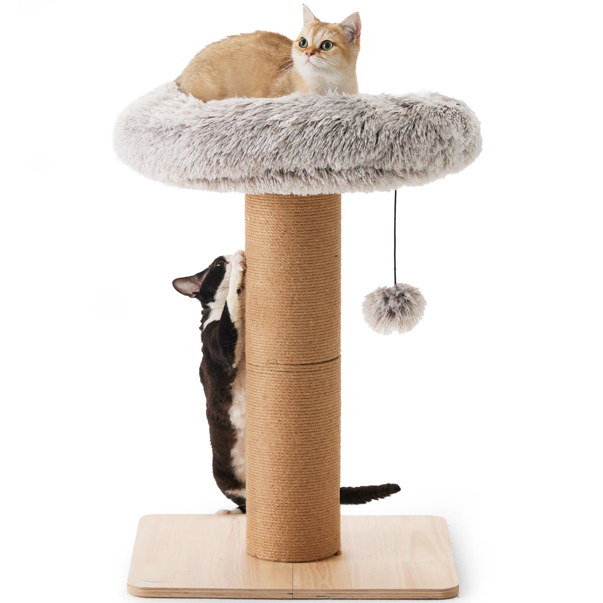 FUKUMARU Poste rascador para gatos, rascador para gatos de 30 pulgadas de alto con percha para gatos de interior, torre para gatos pequeños con cama y poste de 5.5 pulgadas de ancho, muebles de árbol