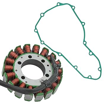 Amazon.com: Caltric Stator and Gasket Compatible With