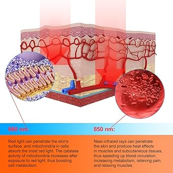 How Red Light Therapy Works