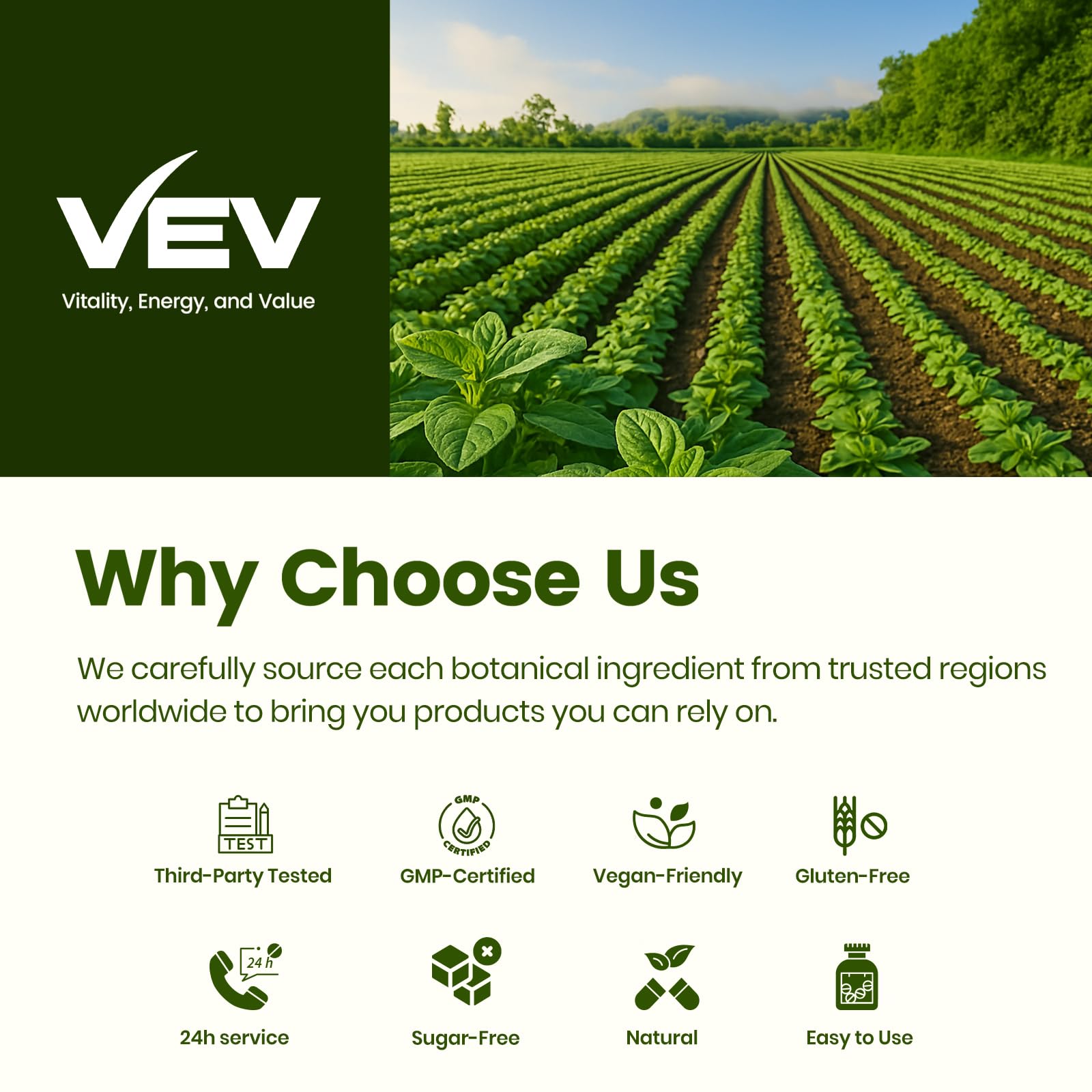 VEV Oil of Oregano with Black Seed Oil & Moringa, Organic, 300 Softgels — Amazon image 6