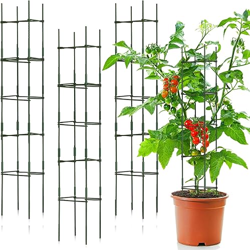 Paquete de 4 jaulas de tomate de 6.5 pies, para jardín, para plantas de tomate montadas, jaulas de soporte para enrejado, jaula triangular