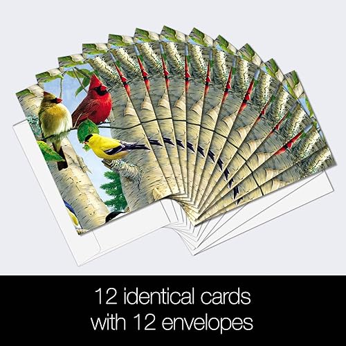 Miniatura 2 de Tree-Free Greetings EcoNotes - Juego de 12 tarjetas de notas favoritas para todas las ocasiones con sobres, 4 x 6 pulgadas (FS66507)