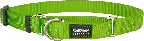 Red Dingo - Collar Tipo Martingale para Perro, diseño Liso