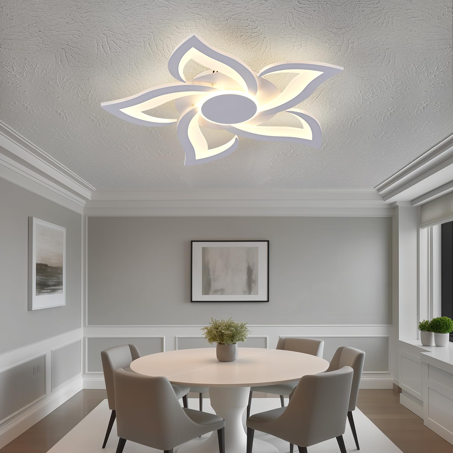 HuixuTe 24 HuixuTe 24