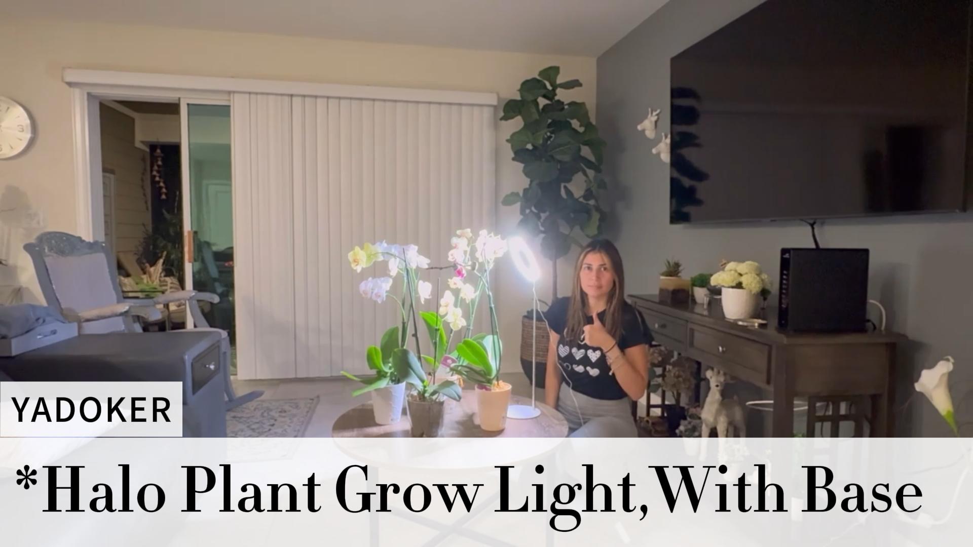 Amazon.com : Yadoker 72 LEDs Full Spectrum Plant Grow Light for