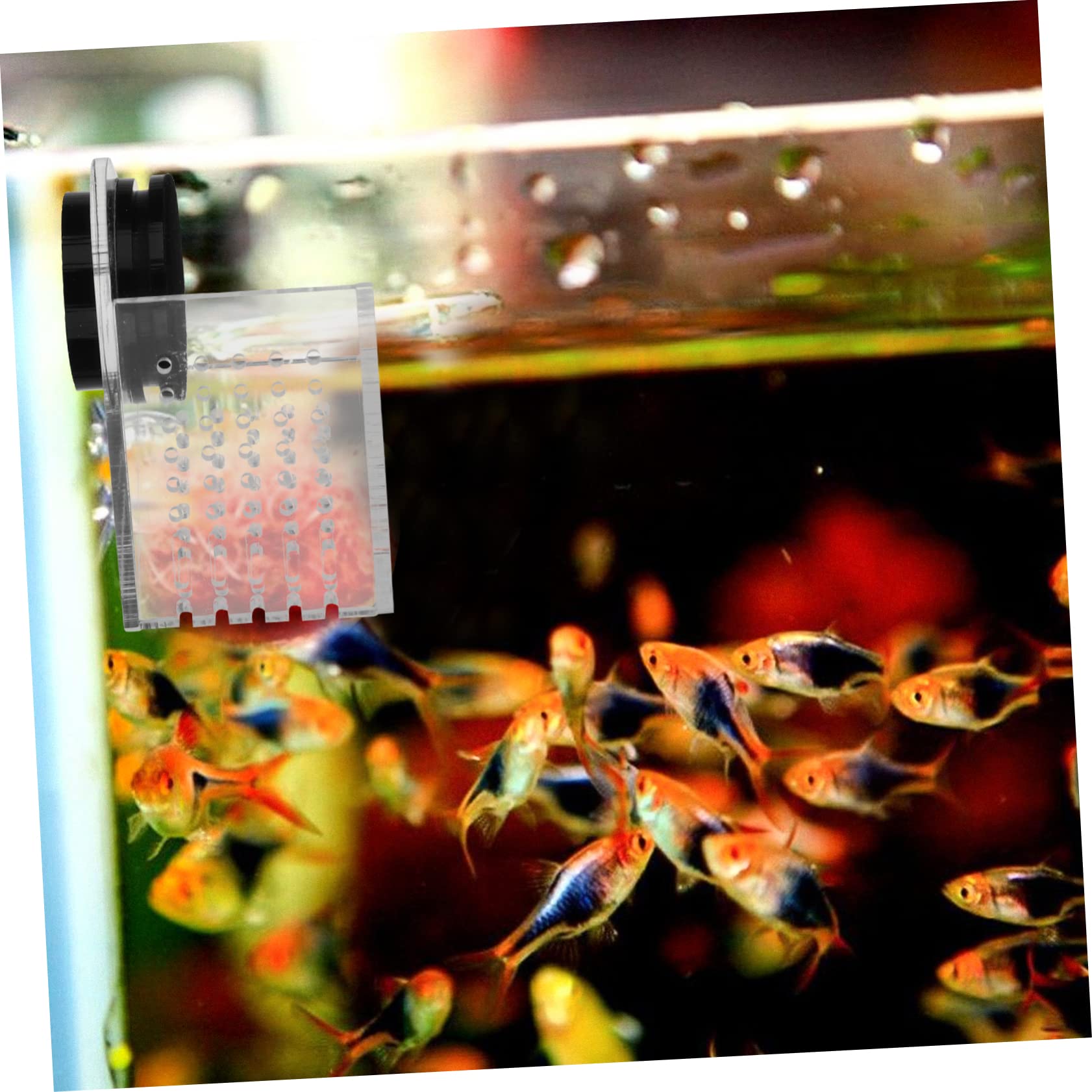 Hemobllo Comedero Magnético Acrílico para Peces Fácil de Instalar y Mantiene el Acuario Limpio, Dispensador de Comida Adecuado para Alimentación en Peceras