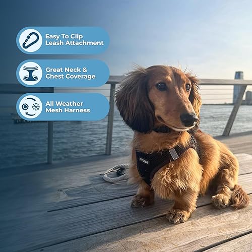 Miniatura 5 de Voyager Step-in Air Dog Harness - All Weather Mesh Step in Vest Harness for Small and Medium Dogs by Best Pet Supplies