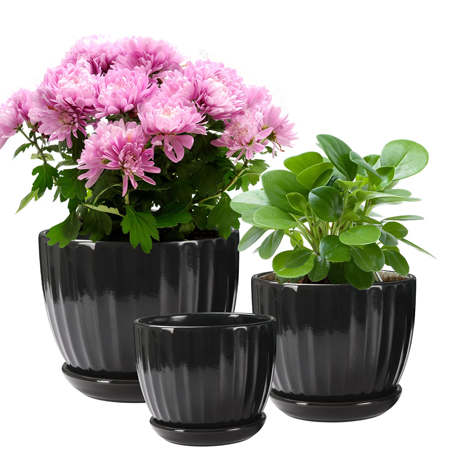 Plant Pots Indoor 3.5-6 inch Ceramic Flower Pot with Drainage Hole and Ceramic Tray - Gardening Home Desktop Office Windowsill Decoration Gift, Set of 3 - Plants NOT Included