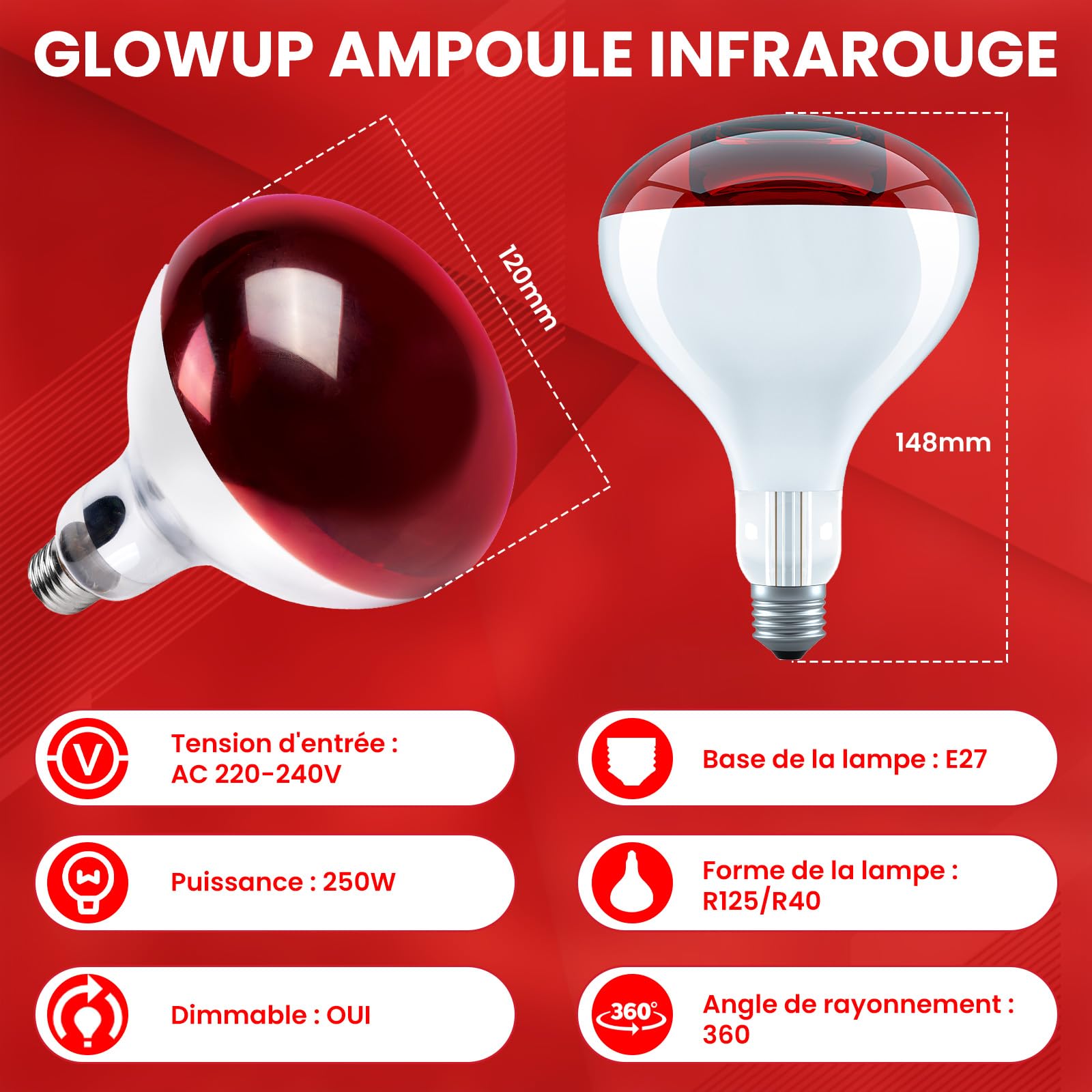GlowUp Ampoule Infrarouge Chauffante 250W E27, R125 Graduable Lampe Chauffante, Ampoules Chauffantes Infrarouges Réflecteur pour Chiot, Poussin(Lote de 2)